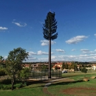 Menara Monopole Baja Galvanis, Pohon Pinus Kamuflase Seluler