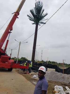 Menara Monopole Baja Disamarkan Pohon Pinus Untuk Telekomunikasi