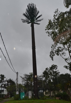 Menara Antena Tubular Seluler Pohon Pinus Untuk Telekomunikasi